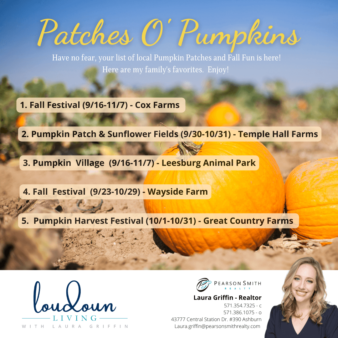 Best Pumpkin Patches in Loudoun County 