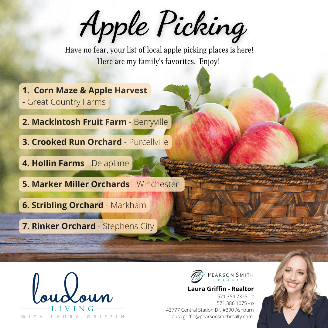 Apple Picking Loudoun County 