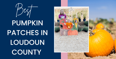 Best Pumpkin Patches in Loudoun County